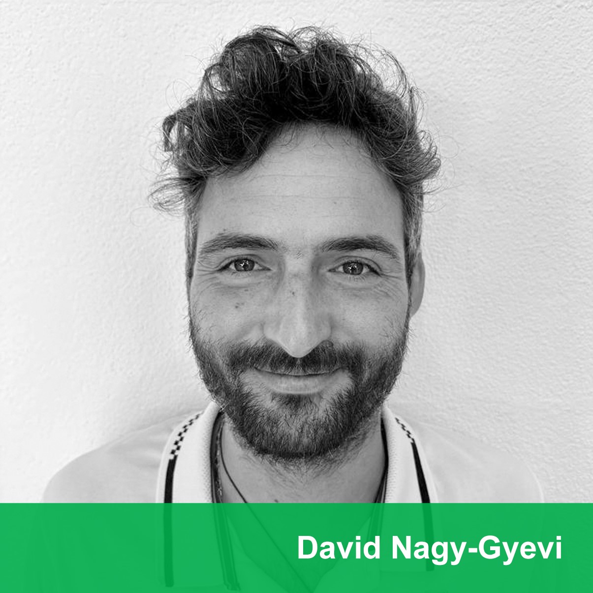 David Nagy-Gyevi